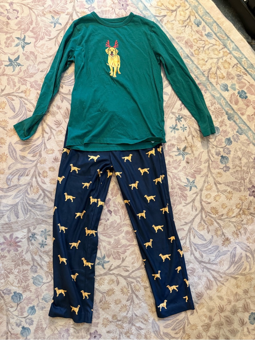 Crewcuts Golden Retriever Pajama Set